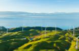 Wind Mills, cover picture for sustainability seminar