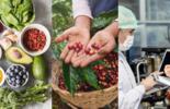 Food seminar cover photo with different pictures: food items on a table, coffee farm and food quality audit,. 