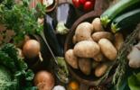 In the picture fruits and vegetables. Cover photo foor food seminar. 