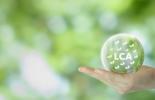 Picture ogf a green globe. 