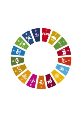 YK:N KESTÄVÄN KEHITYKSEN TAVOITTEET