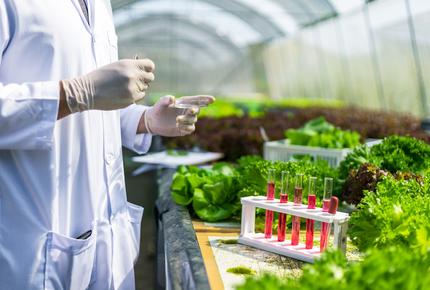 Elintarvikkeiden laadun ja turvallisuuden tutkimusta kasvihuoneympäristössä. Näytteitä analysoidaan laboratoriovälineiden avulla tuoreiden vihannesten keskellä.
